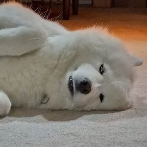 Meet your Posher, Maika